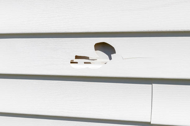 Best Hoarding Cleanup  in Meadowdale, WA